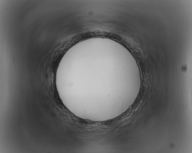 X0000102221061200807250741