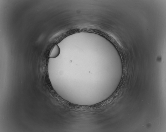 X0000102221063200807250741