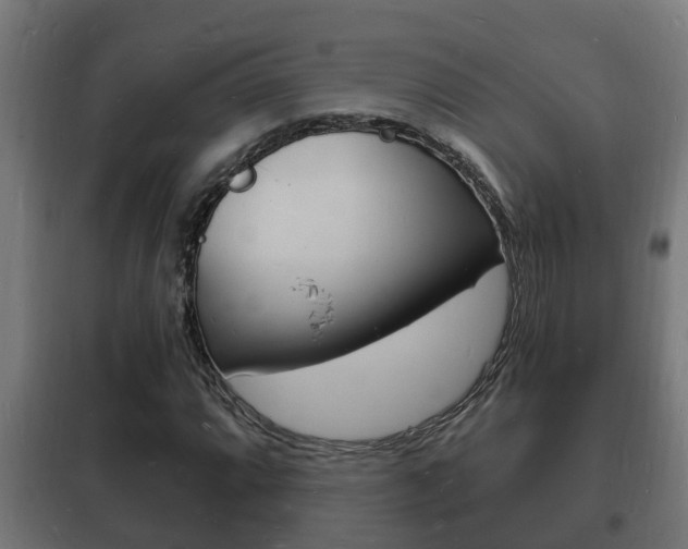 X0000102221064200807250741