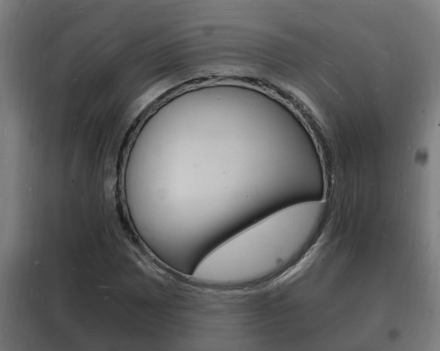 X0000102221065200807250741