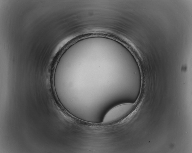 X0000102221066200807250741