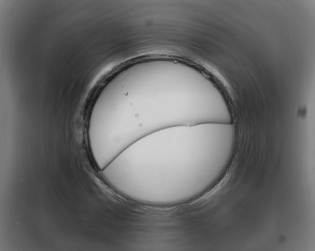 X0000102221067200807250741