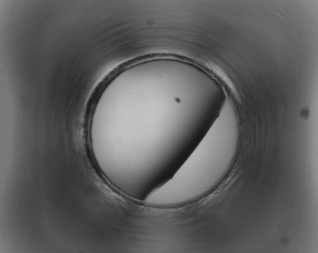 X0000102221068200807250741