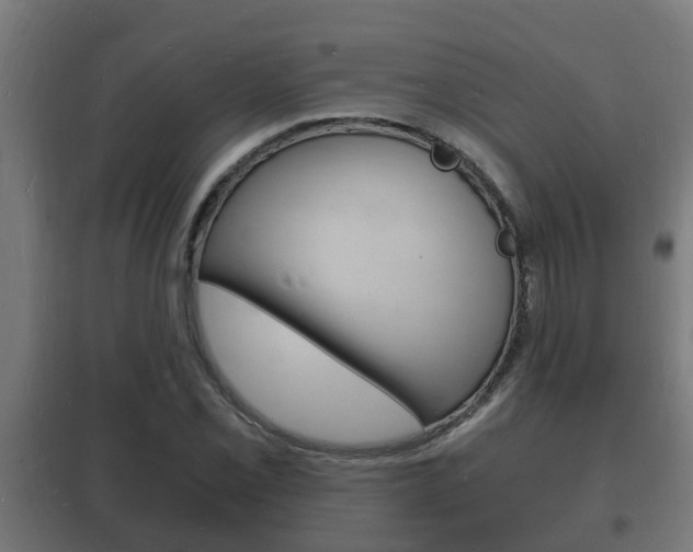 X0000102221069200807250741
