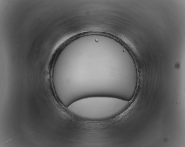 X0000102221070200807250741