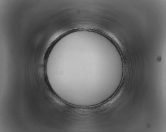 X0000102221071200807250741