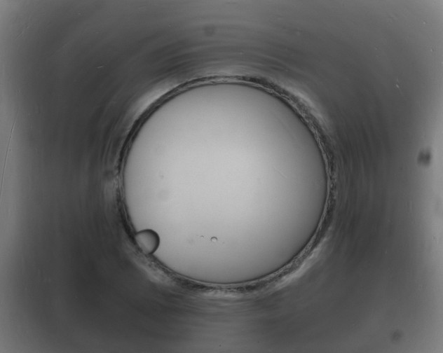 X0000102221073200807250741