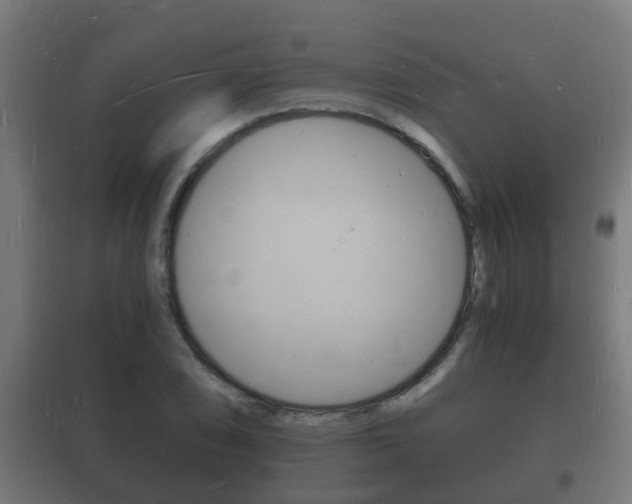 X0000102221074200807250741