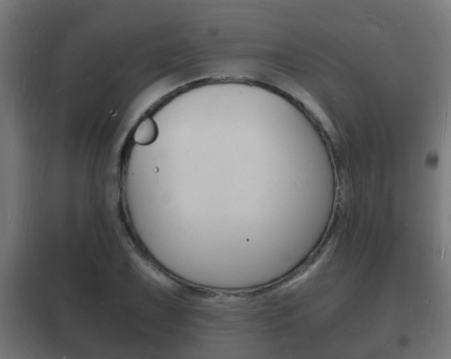 X0000102221075200807250740