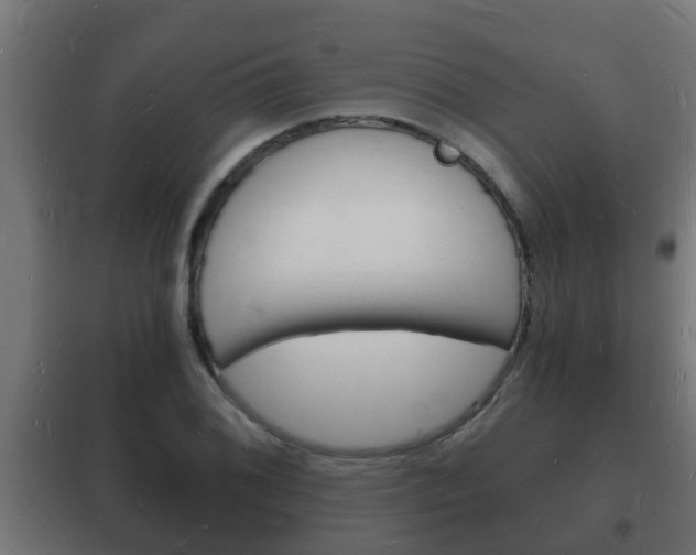 X0000102221076200807250740