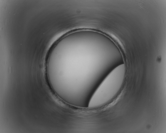 X0000102221077200807250740