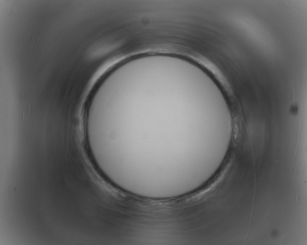 X0000102221078200807250740