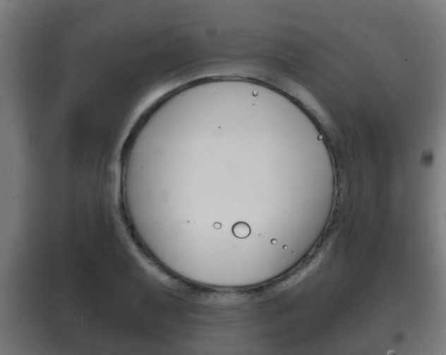 X0000102221079200807250740