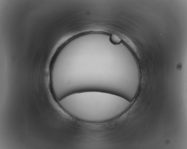 X0000102221080200807250740