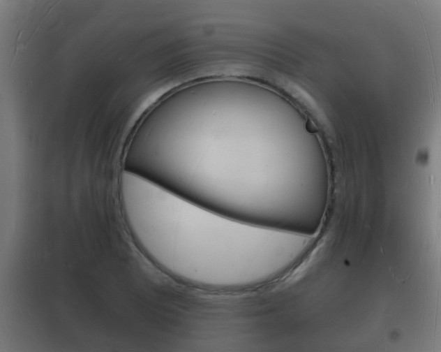 X0000102221081200807250740