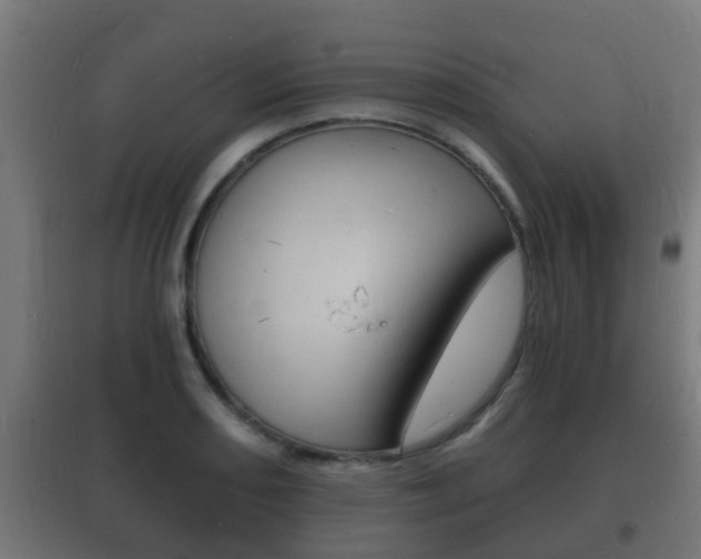 X0000102221082200807250740