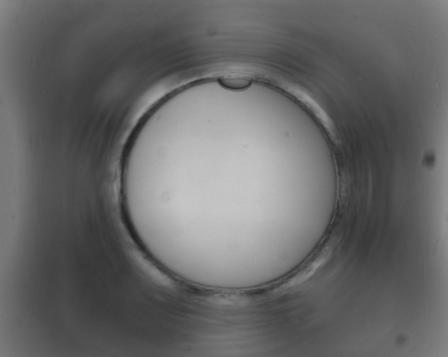 X0000102221083200807250740