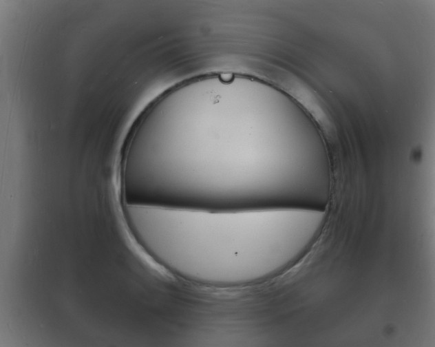 X0000102221084200807250740