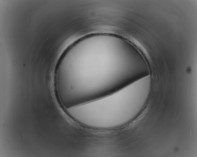 X0000102221085200807250740