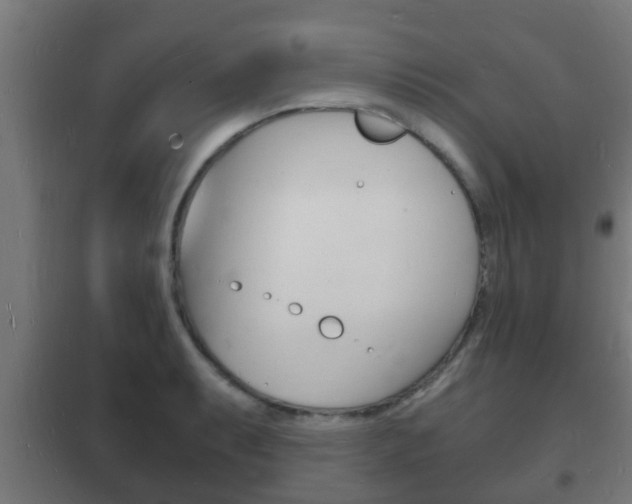 X0000102221087200807250740