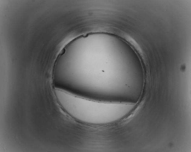 X0000102221089200807250740