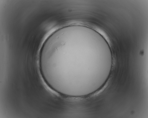 X0000102221090200807250740