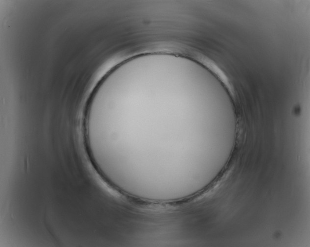 X0000102221091200807250740