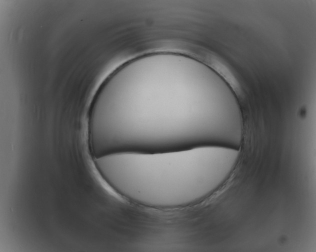 X0000102221092200807250740