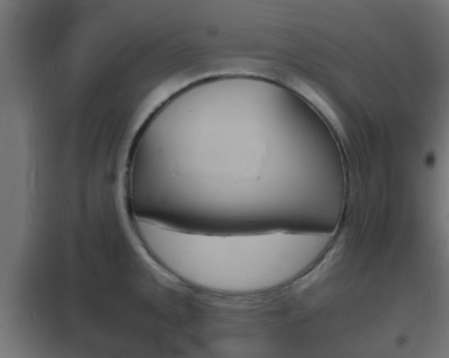 X0000102221093200807250740