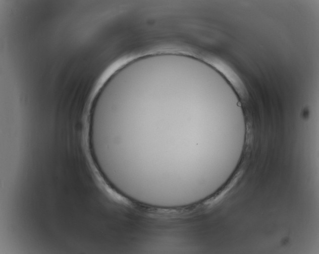 X0000102221094200807250740