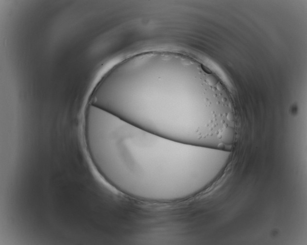 X0000102221095200807250740
