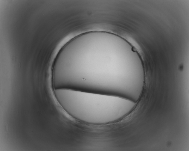 X0000102221096200807250740