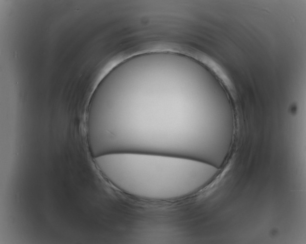 X0000102221097200807250740