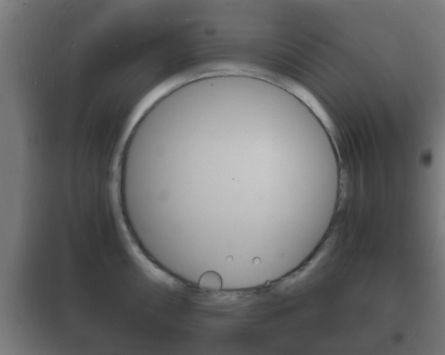 X0000102221098200807250740
