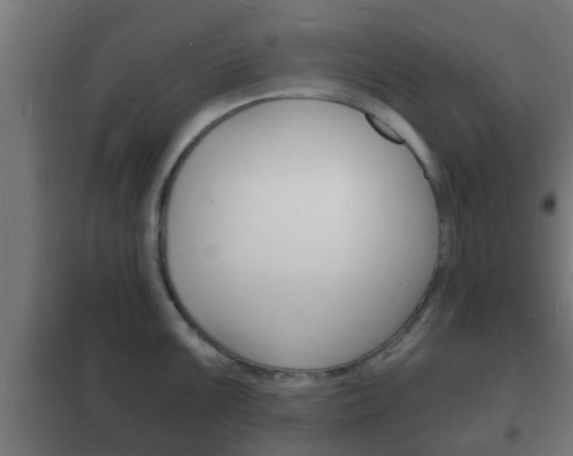 X0000102221099200807250740