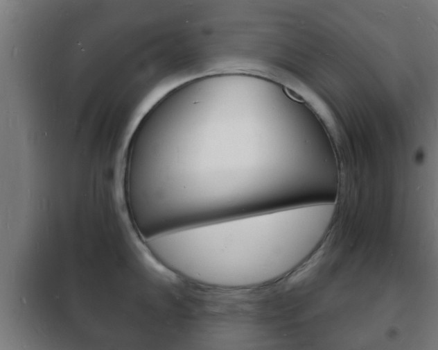 X0000102221102200807250740