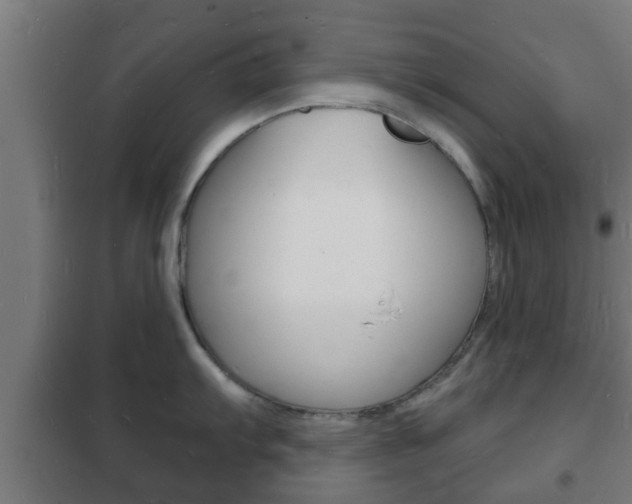 X0000102221103200807250740