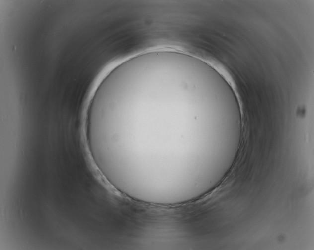 X0000102221104200807250740