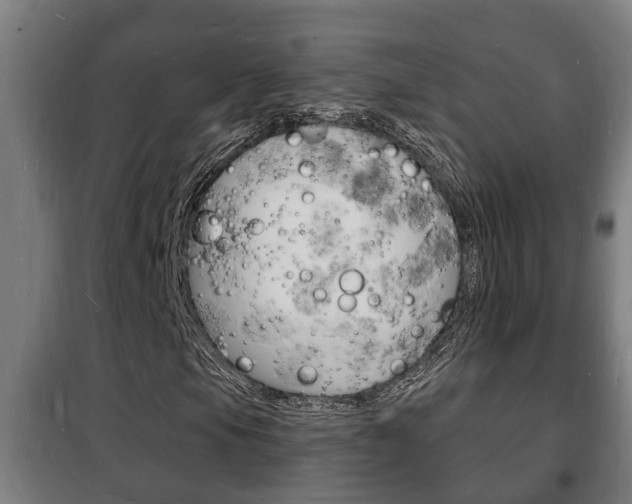 X0000102221105200807250739