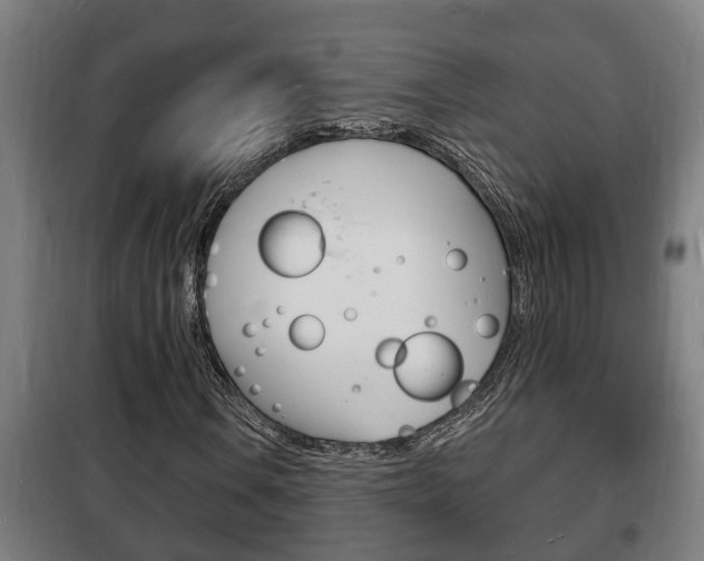 X0000102221106200807250739