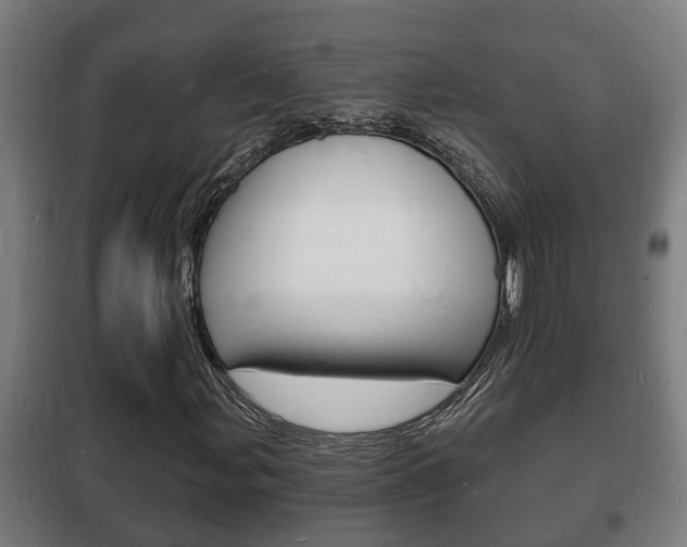 X0000102221107200807250739