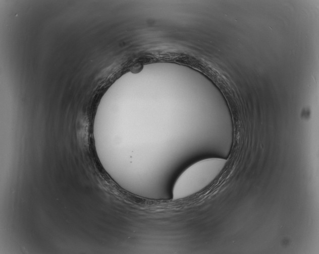 X0000102221108200807250739
