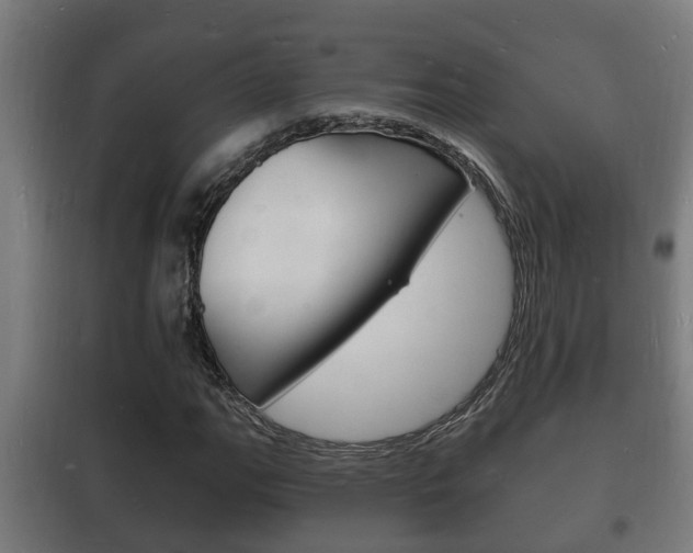 X0000102221111200807250740