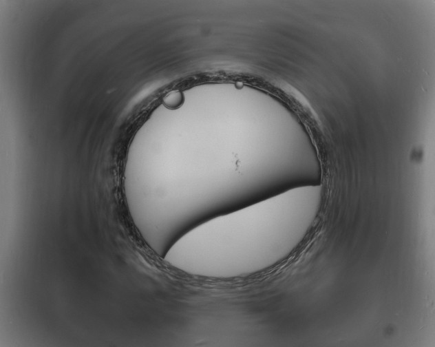 X0000102221112200807250740