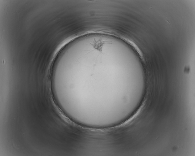 X0000102221114200807250740