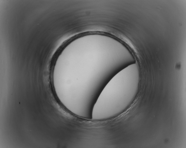 X0000102221116200807250740