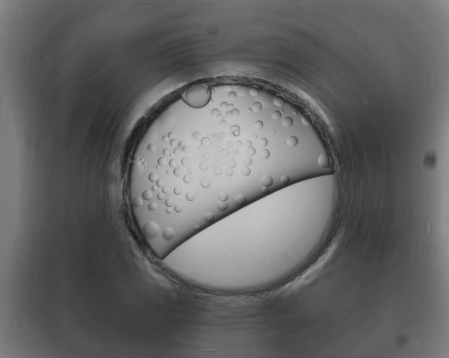 X0000102221117200807250740