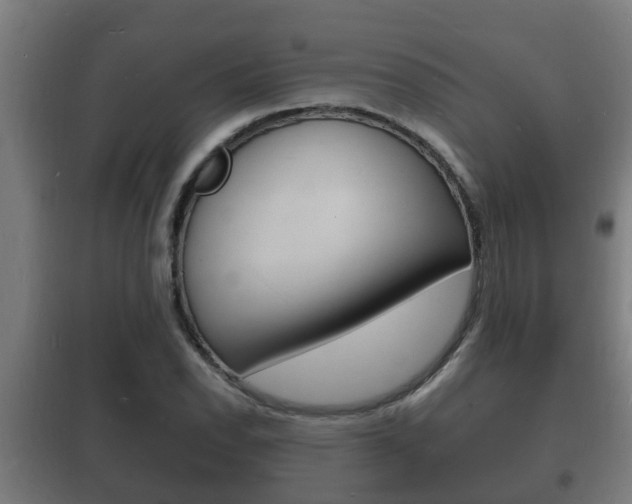 X0000102221118200807250740