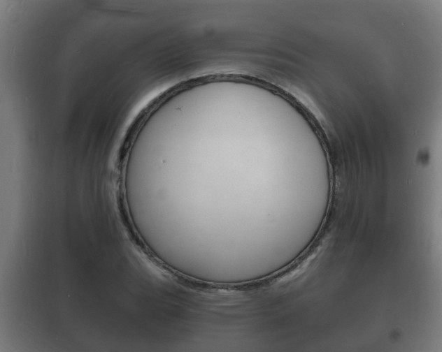 X0000102221119200807250740