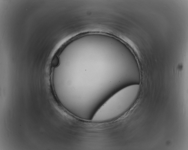 X0000102221120200807250740
